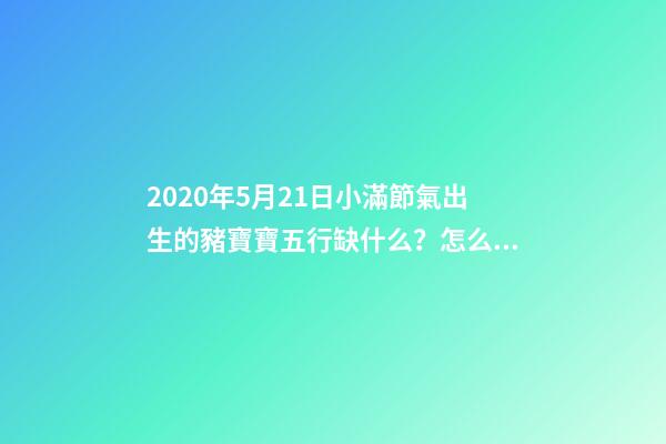 2020年5月21日小滿節氣出生的豬寶寶五行缺什么？怎么化解？ 84年5月21日五行屬什么，1984年屬鼠的五行屬什么-第1張-觀點-玄機派